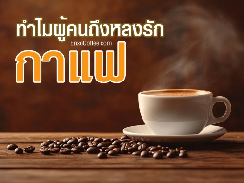 ค้นพบเหตุผลว่าทำไมผู้คนทั่วโลกถึงหลงรักกาแฟ ตั้งแต่กลิ่นหอม รสชาติที่เป็นเอกลักษณ์ ไปจนถึงประโยชน์ต่อสุขภาพ กาแฟไม่ใช่แค่เครื่องดื่ม แต่เป็นไลฟ์สไตล์ที่หลายคนขาดไม่ได้