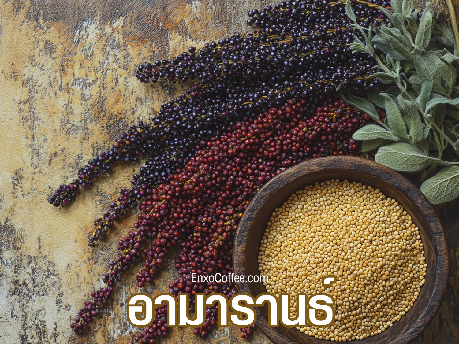 ประโยชน์ของเมล็ดอามารานธ์